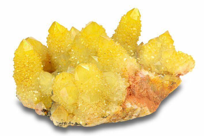 Sunshine Cactus Quartz Crystal Cluster - South Africa #284001